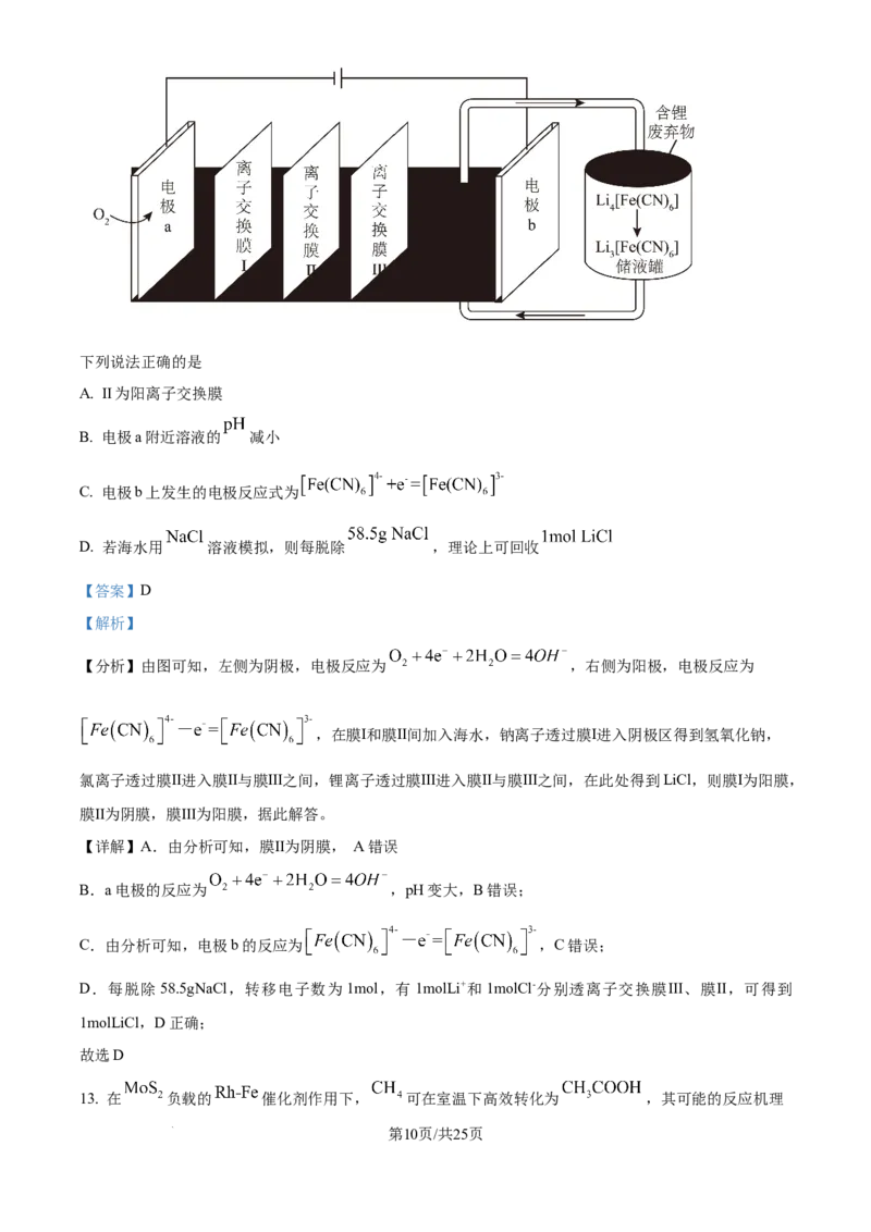 2025年高考化学试卷（河南卷）（解析卷）_历年高考真题合集_化学历年高考真题_新&middot;Word版2008-2025&middot;高考化学真题_化学（按年份分类）2008-2025_2025&middot;高考化学真题