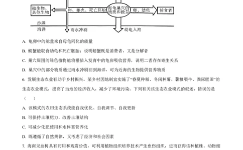 2024年高考生物真题（海南）（空白卷）_生物历年高考真题_新&middot;PDF版2008-2025&middot;高考生物真题_生物（按年份分类）2008-2025_2024&middot;高考生物真题