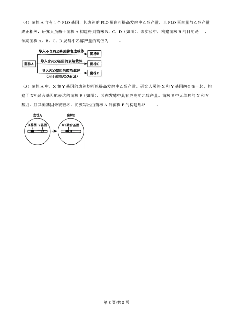 2024年高考生物真题（海南）（空白卷）_生物历年高考真题_新&middot;PDF版2008-2025&middot;高考生物真题_生物（按年份分类）2008-2025_2024&middot;高考生物真题