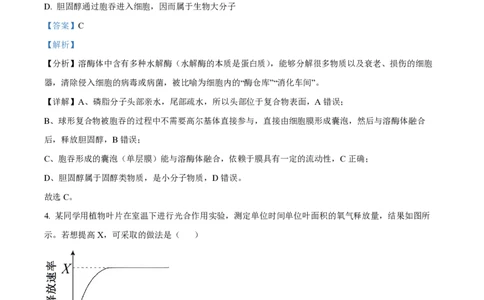 2024年高考生物试卷（北京）（解析卷）_生物历年高考真题_新&middot;PDF版2008-2025&middot;高考生物真题_生物（按年份分类）2008-2025_2024&middot;高考生物真题