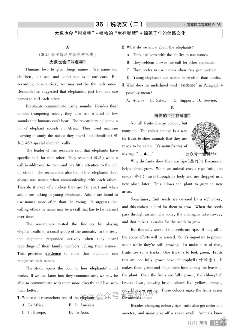 2026《中考英语45套》安徽提分小卷_2026《中考》数学、英语、物理+化学安徽、河北、河南、山西、辽宁、湖北_2026《中考英语45套》全国地方版_2026《中考英语45套》安徽