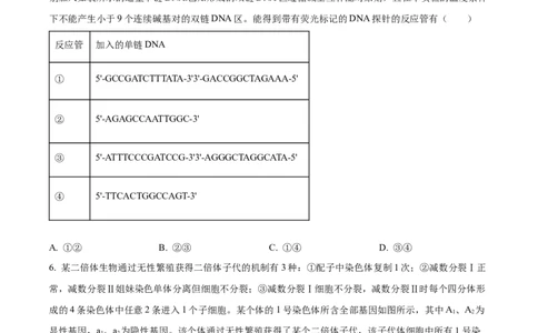 2024年高考生物试卷（山东）（空白卷）_生物历年高考真题_新&middot;Word版2008-2025&middot;高考生物真题_生物（按年份分类）2008-2025_2024&middot;高考生物真题