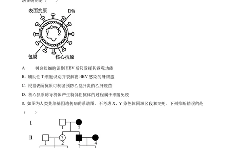 2024年高考生物试卷（山东）（空白卷）_生物历年高考真题_新&middot;Word版2008-2025&middot;高考生物真题_生物（按年份分类）2008-2025_2024&middot;高考生物真题