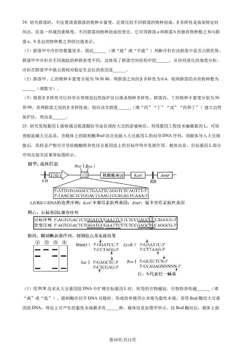 2024年高考生物试卷（山东）（空白卷）_生物历年高考真题_新&middot;Word版2008-2025&middot;高考生物真题_生物（按年份分类）2008-2025_2024&middot;高考生物真题