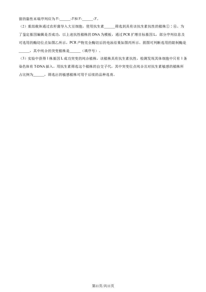 2024年高考生物试卷（山东）（空白卷）_生物历年高考真题_新&middot;Word版2008-2025&middot;高考生物真题_生物（按年份分类）2008-2025_2024&middot;高考生物真题
