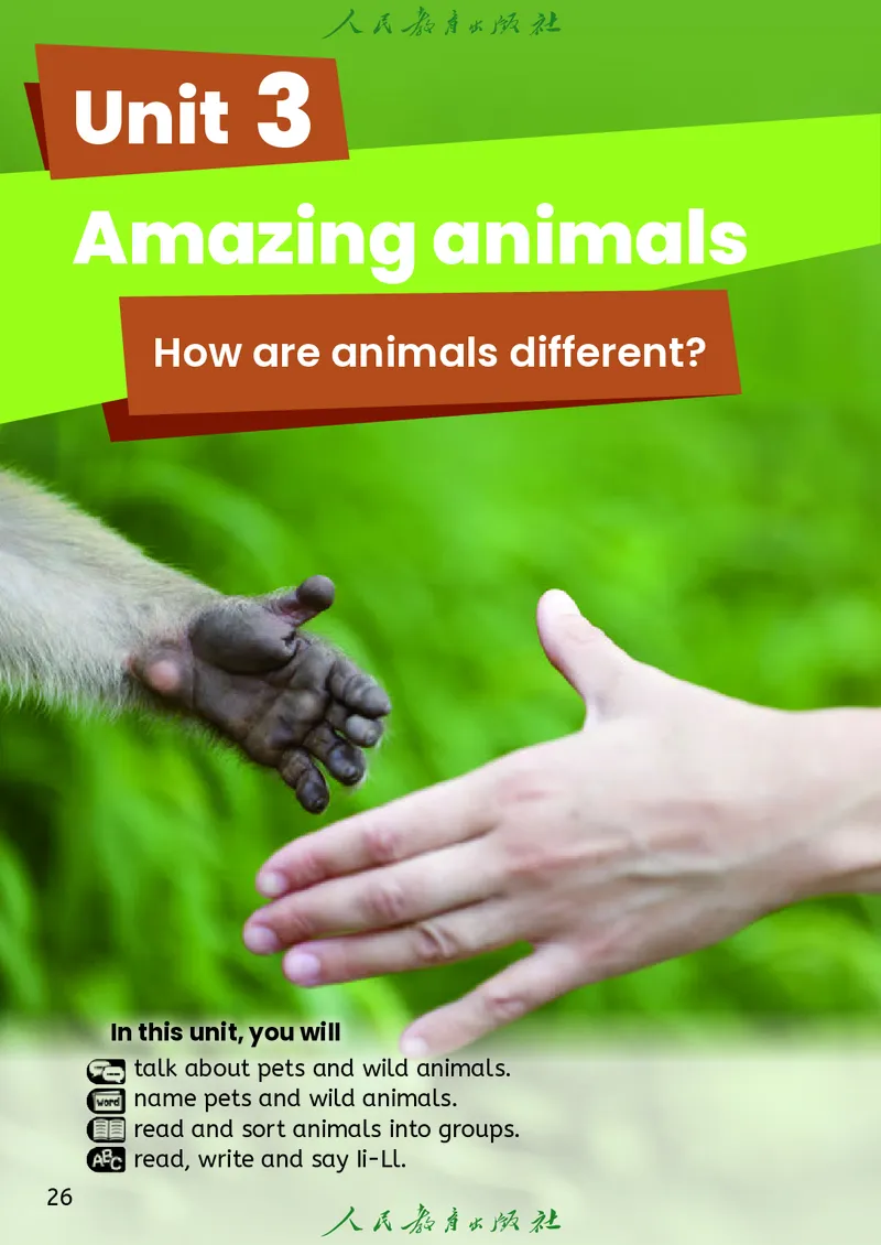 2024秋英语（PEP）（三年级起点）三年级上册PDF电子课本_三年级上下册资料_三年级上语数英上下册学习资料_3-8-5、小学三年级英语上册_人教PEP版_11、电子课本