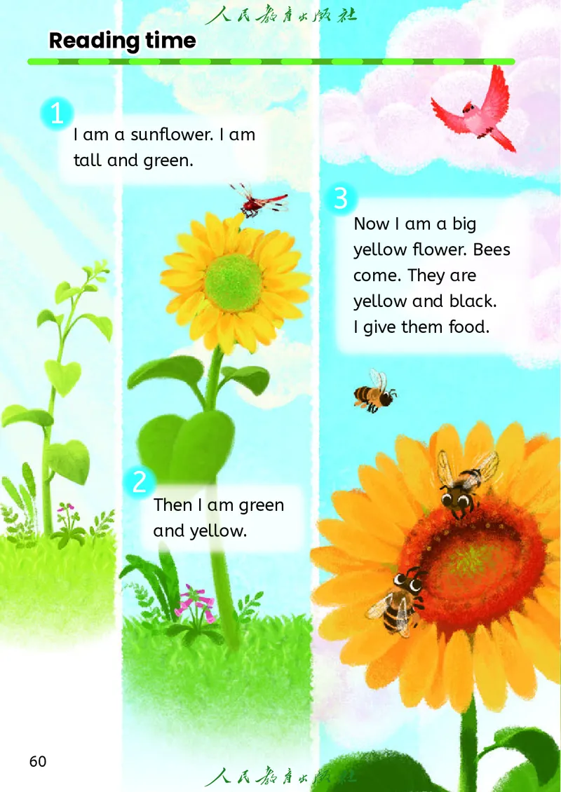 2024秋英语（PEP）（三年级起点）三年级上册PDF电子课本_三年级上下册资料_三年级上语数英上下册学习资料_3-8-5、小学三年级英语上册_人教PEP版_11、电子课本