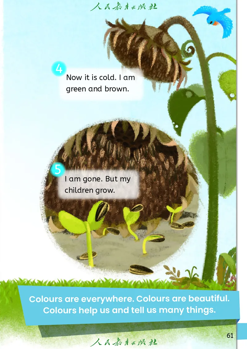 2024秋英语（PEP）（三年级起点）三年级上册PDF电子课本_三年级上下册资料_三年级上语数英上下册学习资料_3-8-5、小学三年级英语上册_人教PEP版_11、电子课本