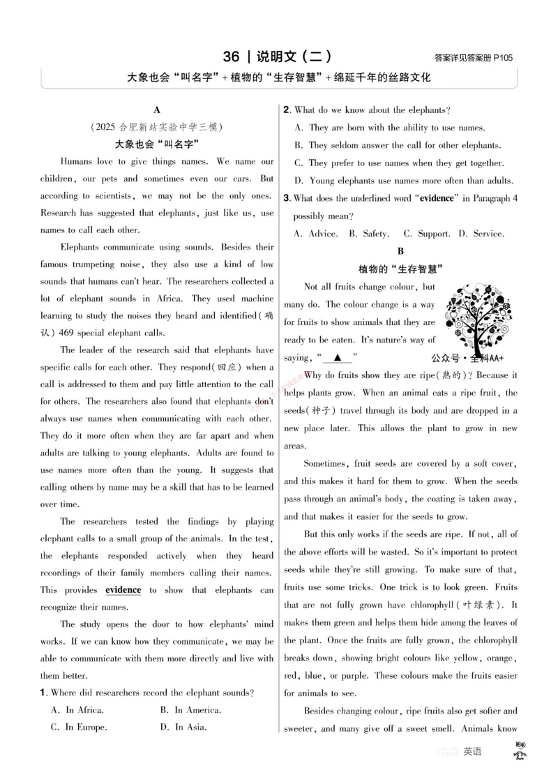 2026《中考英语45套》安徽提分小卷_45套中招_2026《中考英语45套》安徽