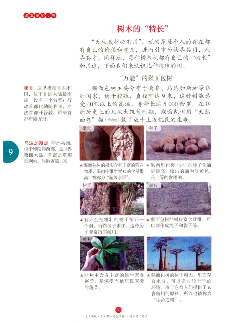 《年级阅读》语文3年级上册（RJ）_三年级上下册资料_小学三年级学习资料-25年更新版_3-01、小学三年级语文上册_3-1-2、练习题、作业、试题、试卷_电子册类