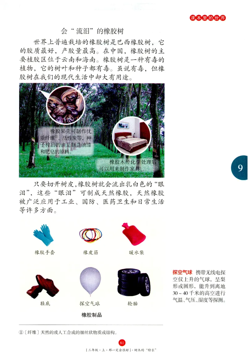 《年级阅读》语文3年级上册（RJ）_三年级上下册资料_小学三年级学习资料-25年更新版_3-01、小学三年级语文上册_3-1-2、练习题、作业、试题、试卷_电子册类