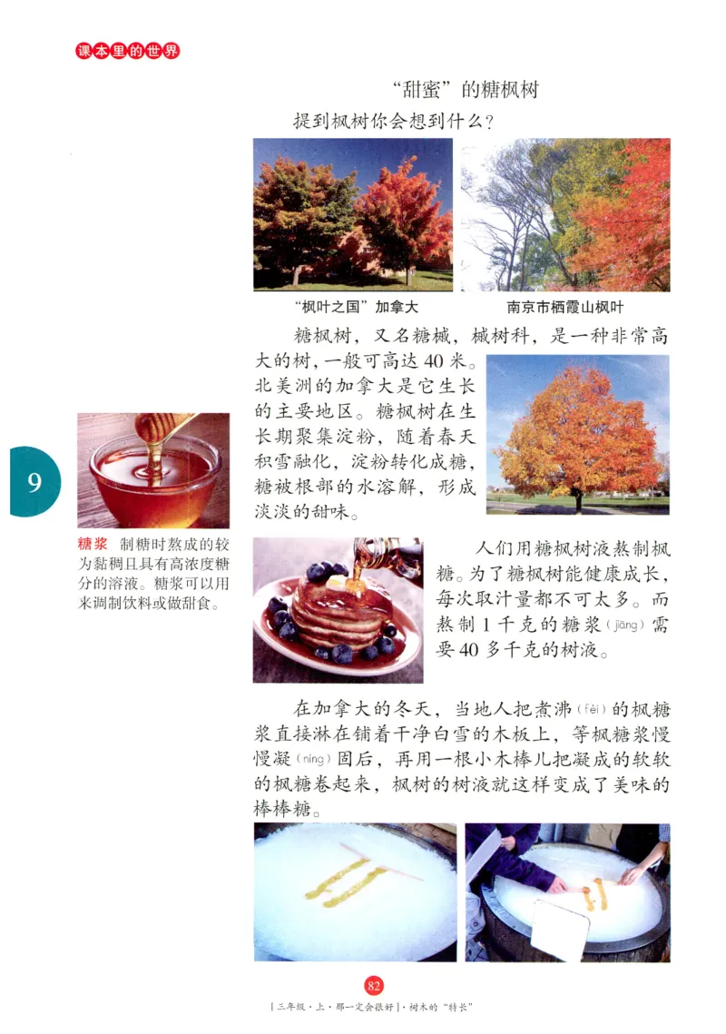 《年级阅读》语文3年级上册（RJ）_三年级上下册资料_小学三年级学习资料-25年更新版_3-01、小学三年级语文上册_3-1-2、练习题、作业、试题、试卷_电子册类