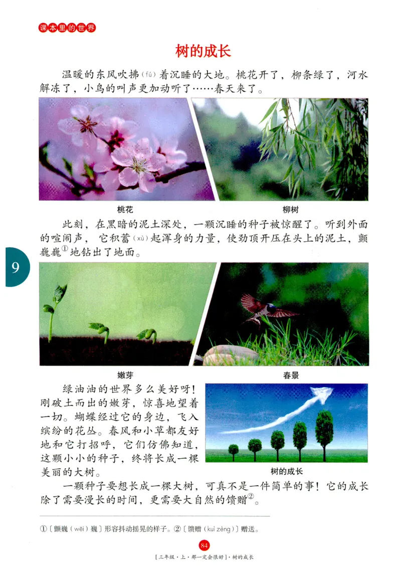 《年级阅读》语文3年级上册（RJ）_三年级上下册资料_小学三年级学习资料-25年更新版_3-01、小学三年级语文上册_3-1-2、练习题、作业、试题、试卷_电子册类