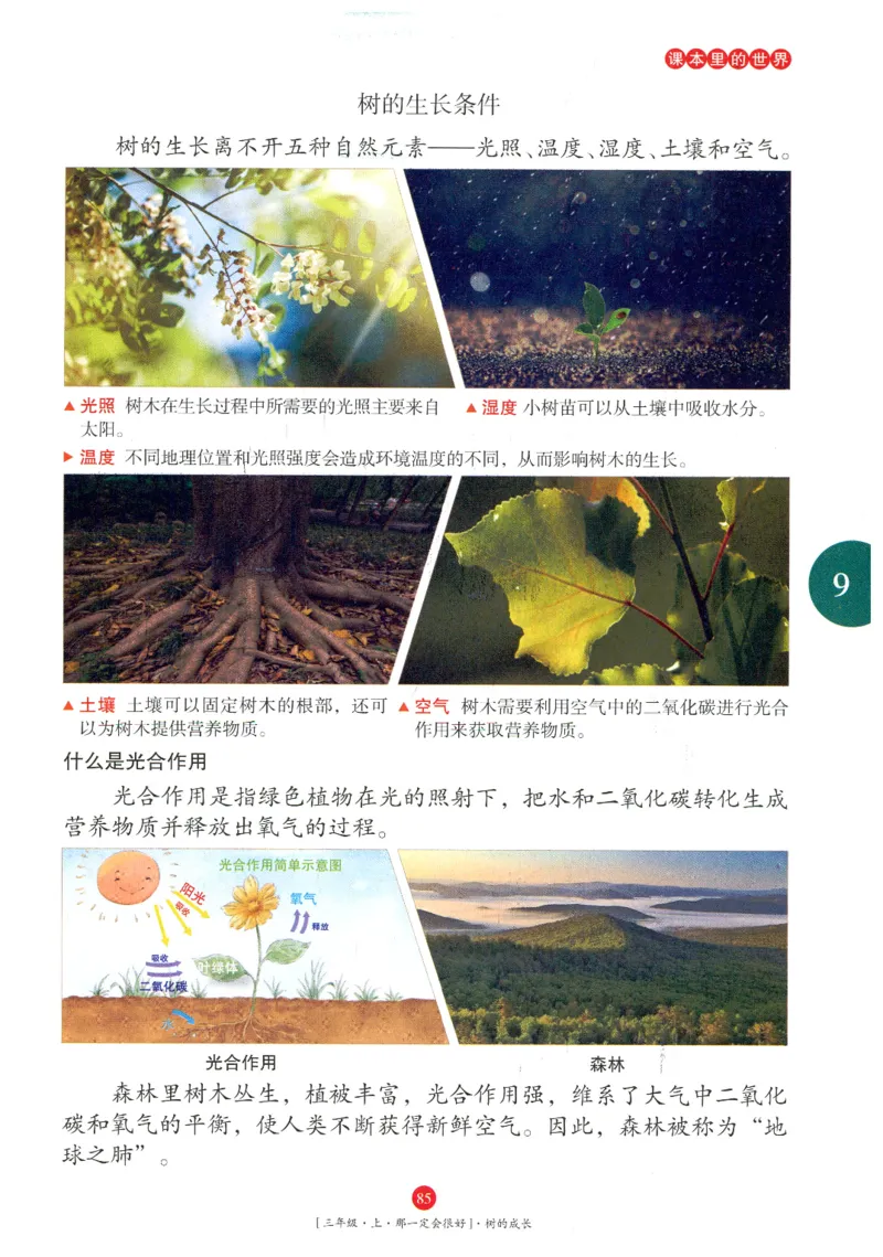 《年级阅读》语文3年级上册（RJ）_三年级上下册资料_小学三年级学习资料-25年更新版_3-01、小学三年级语文上册_3-1-2、练习题、作业、试题、试卷_电子册类