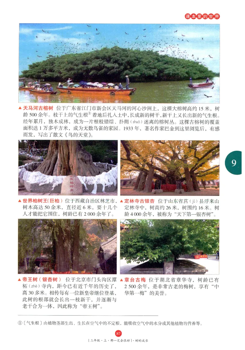 《年级阅读》语文3年级上册（RJ）_三年级上下册资料_小学三年级学习资料-25年更新版_3-01、小学三年级语文上册_3-1-2、练习题、作业、试题、试卷_电子册类