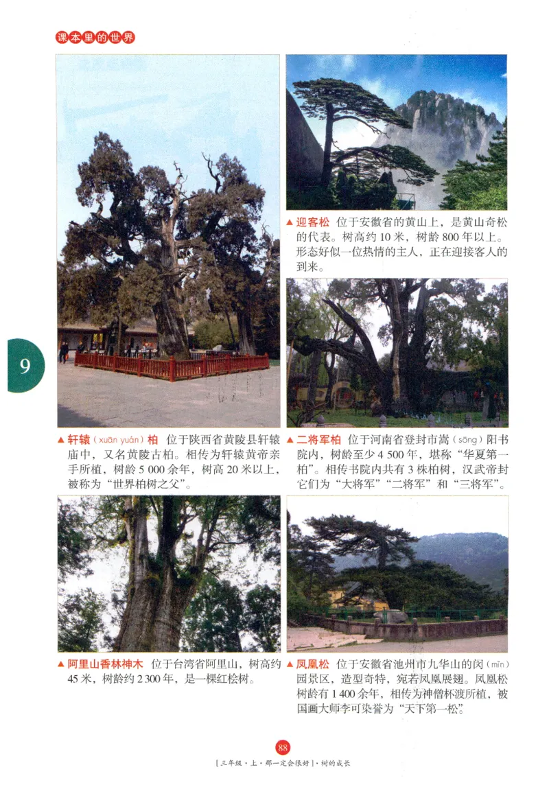 《年级阅读》语文3年级上册（RJ）_三年级上下册资料_小学三年级学习资料-25年更新版_3-01、小学三年级语文上册_3-1-2、练习题、作业、试题、试卷_电子册类