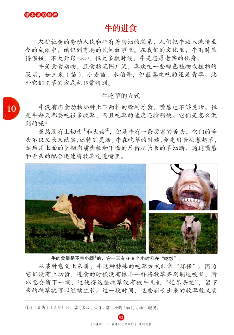 《年级阅读》语文3年级上册（RJ）_三年级上下册资料_小学三年级学习资料-25年更新版_3-01、小学三年级语文上册_3-1-2、练习题、作业、试题、试卷_电子册类