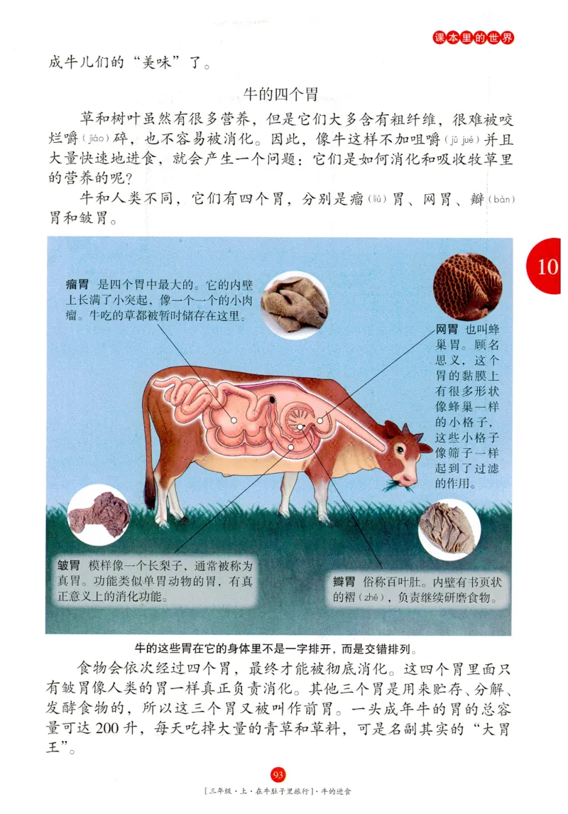 《年级阅读》语文3年级上册（RJ）_三年级上下册资料_小学三年级学习资料-25年更新版_3-01、小学三年级语文上册_3-1-2、练习题、作业、试题、试卷_电子册类