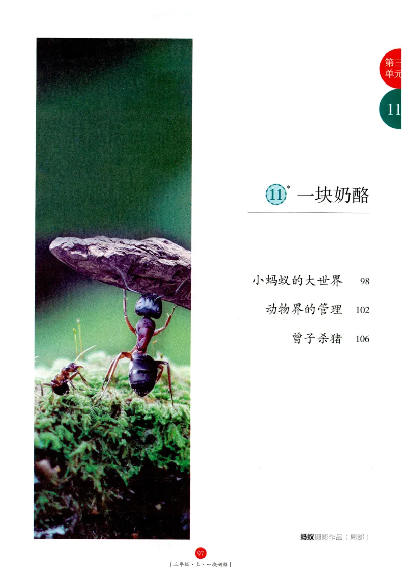 《年级阅读》语文3年级上册（RJ）_三年级上下册资料_小学三年级学习资料-25年更新版_3-01、小学三年级语文上册_3-1-2、练习题、作业、试题、试卷_电子册类
