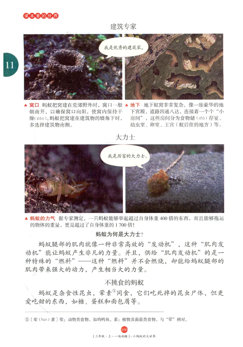 《年级阅读》语文3年级上册（RJ）_三年级上下册资料_小学三年级学习资料-25年更新版_3-01、小学三年级语文上册_3-1-2、练习题、作业、试题、试卷_电子册类