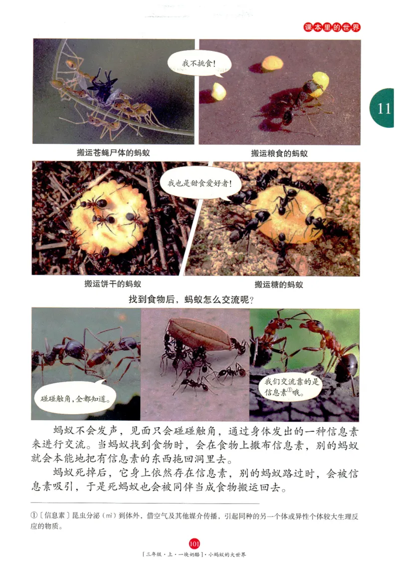 《年级阅读》语文3年级上册（RJ）_三年级上下册资料_小学三年级学习资料-25年更新版_3-01、小学三年级语文上册_3-1-2、练习题、作业、试题、试卷_电子册类