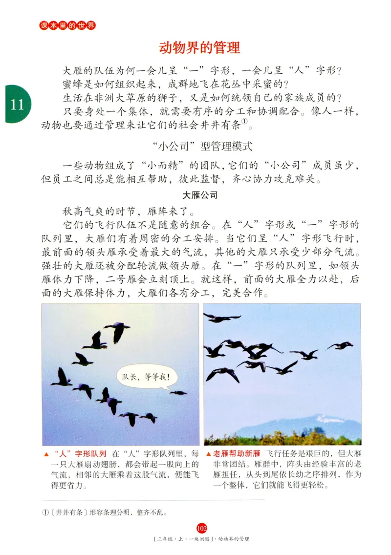 《年级阅读》语文3年级上册（RJ）_三年级上下册资料_小学三年级学习资料-25年更新版_3-01、小学三年级语文上册_3-1-2、练习题、作业、试题、试卷_电子册类