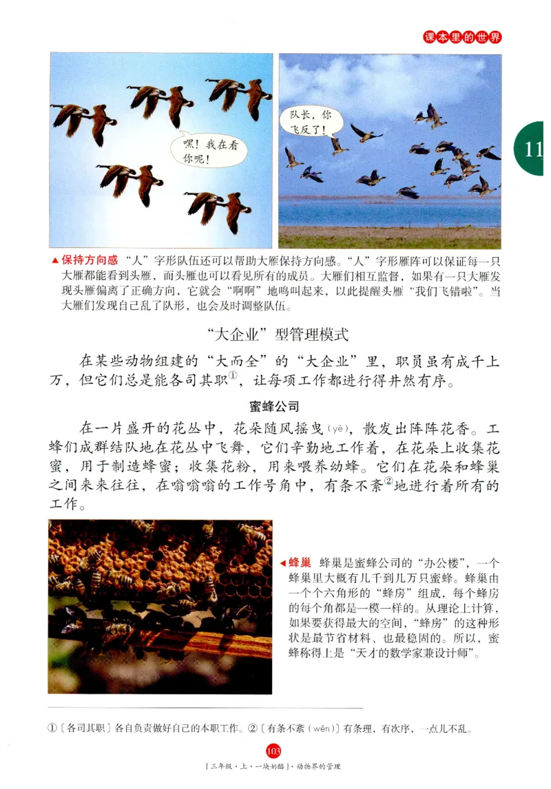 《年级阅读》语文3年级上册（RJ）_三年级上下册资料_小学三年级学习资料-25年更新版_3-01、小学三年级语文上册_3-1-2、练习题、作业、试题、试卷_电子册类