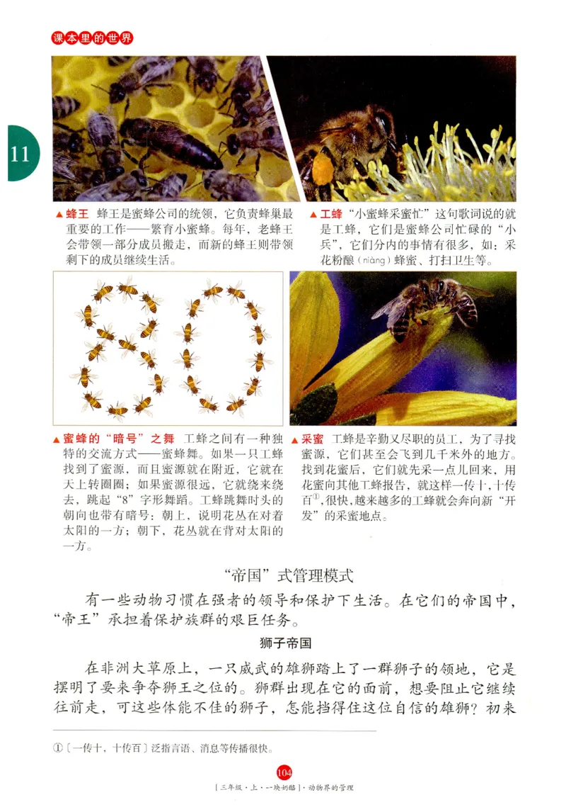 《年级阅读》语文3年级上册（RJ）_三年级上下册资料_小学三年级学习资料-25年更新版_3-01、小学三年级语文上册_3-1-2、练习题、作业、试题、试卷_电子册类