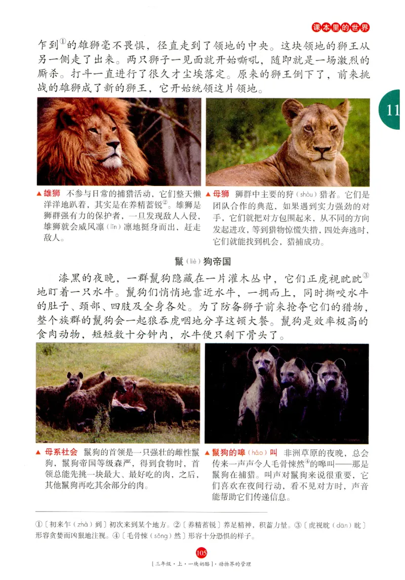 《年级阅读》语文3年级上册（RJ）_三年级上下册资料_小学三年级学习资料-25年更新版_3-01、小学三年级语文上册_3-1-2、练习题、作业、试题、试卷_电子册类