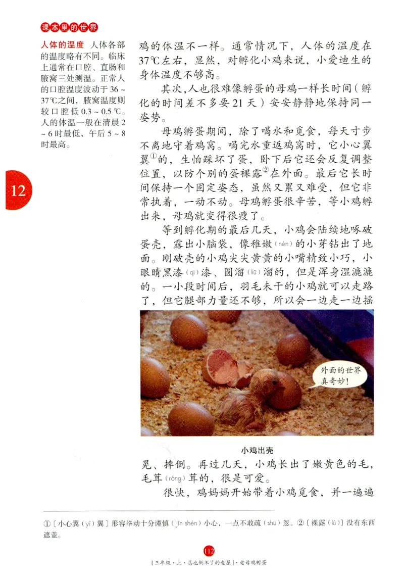 《年级阅读》语文3年级上册（RJ）_三年级上下册资料_小学三年级学习资料-25年更新版_3-01、小学三年级语文上册_3-1-2、练习题、作业、试题、试卷_电子册类