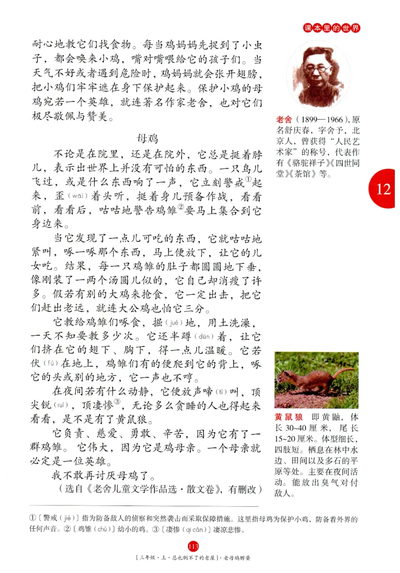 《年级阅读》语文3年级上册（RJ）_三年级上下册资料_小学三年级学习资料-25年更新版_3-01、小学三年级语文上册_3-1-2、练习题、作业、试题、试卷_电子册类