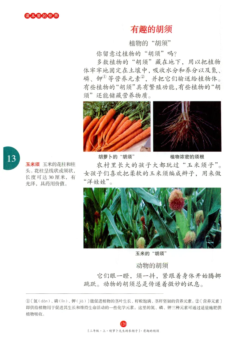 《年级阅读》语文3年级上册（RJ）_三年级上下册资料_小学三年级学习资料-25年更新版_3-01、小学三年级语文上册_3-1-2、练习题、作业、试题、试卷_电子册类