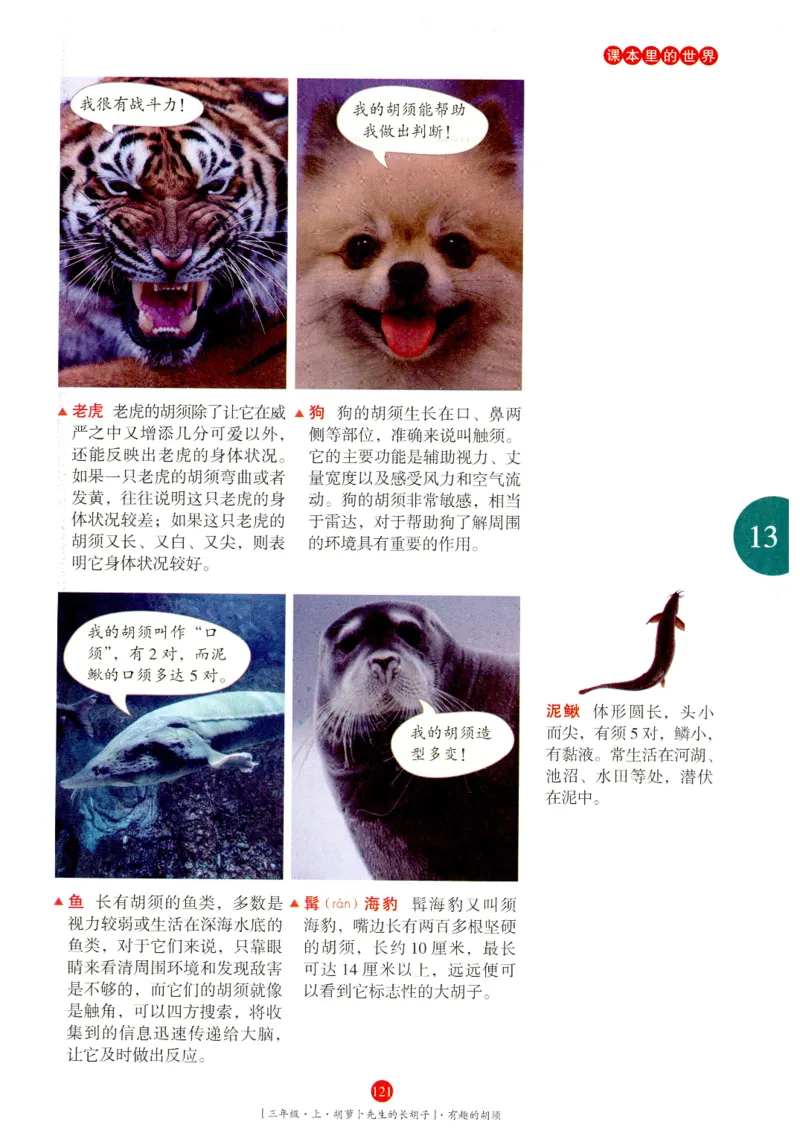 《年级阅读》语文3年级上册（RJ）_三年级上下册资料_小学三年级学习资料-25年更新版_3-01、小学三年级语文上册_3-1-2、练习题、作业、试题、试卷_电子册类