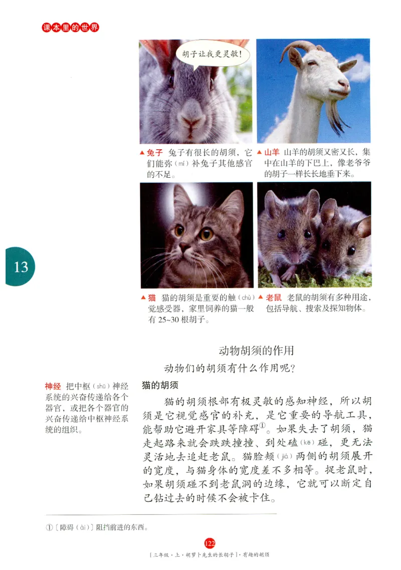 《年级阅读》语文3年级上册（RJ）_三年级上下册资料_小学三年级学习资料-25年更新版_3-01、小学三年级语文上册_3-1-2、练习题、作业、试题、试卷_电子册类