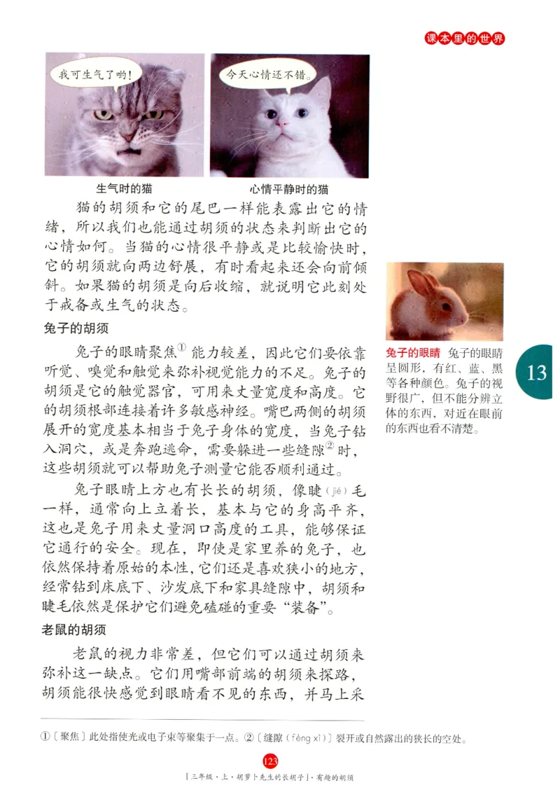 《年级阅读》语文3年级上册（RJ）_三年级上下册资料_小学三年级学习资料-25年更新版_3-01、小学三年级语文上册_3-1-2、练习题、作业、试题、试卷_电子册类