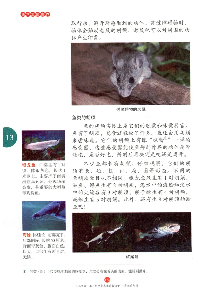 《年级阅读》语文3年级上册（RJ）_三年级上下册资料_小学三年级学习资料-25年更新版_3-01、小学三年级语文上册_3-1-2、练习题、作业、试题、试卷_电子册类