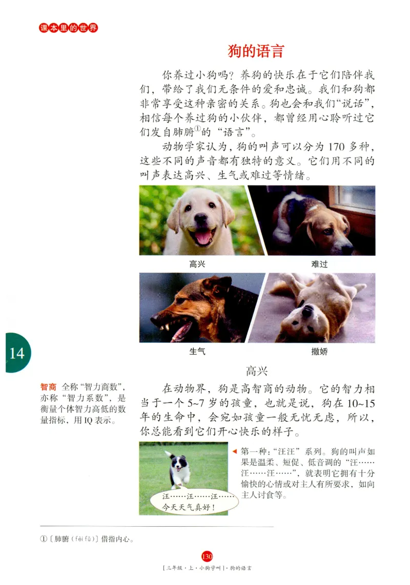 《年级阅读》语文3年级上册（RJ）_三年级上下册资料_小学三年级学习资料-25年更新版_3-01、小学三年级语文上册_3-1-2、练习题、作业、试题、试卷_电子册类