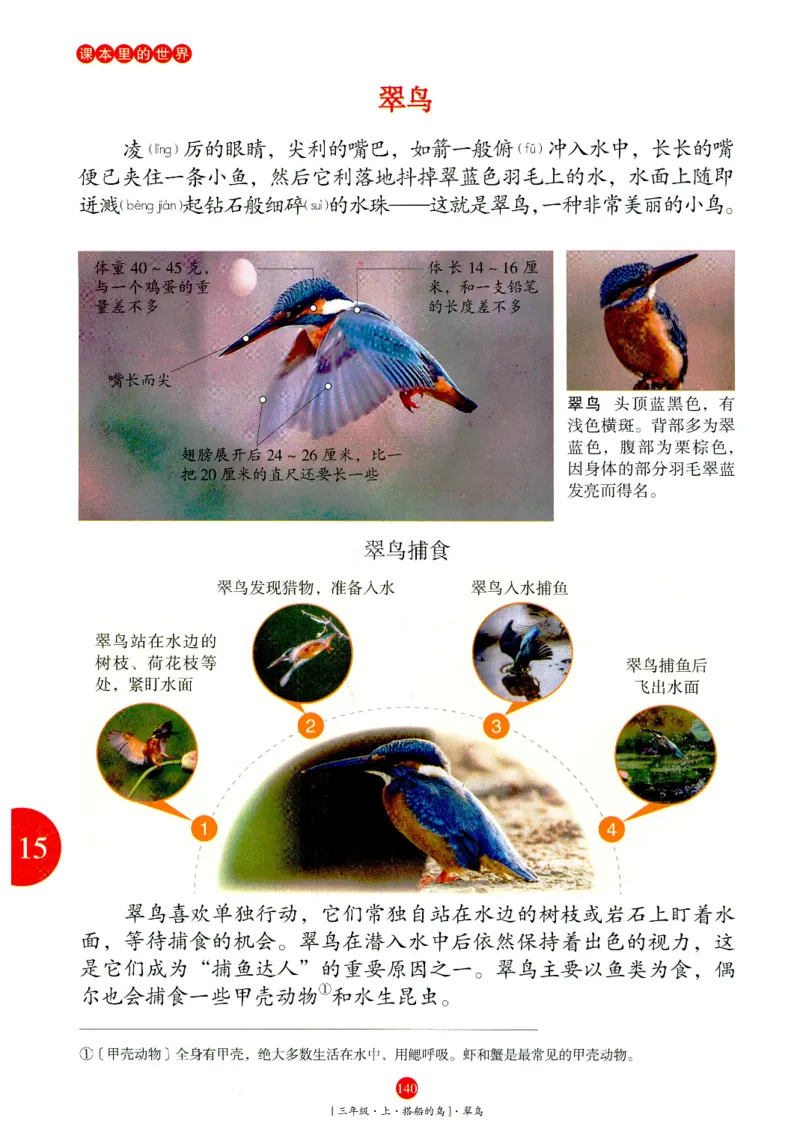 《年级阅读》语文3年级上册（RJ）_三年级上下册资料_小学三年级学习资料-25年更新版_3-01、小学三年级语文上册_3-1-2、练习题、作业、试题、试卷_电子册类