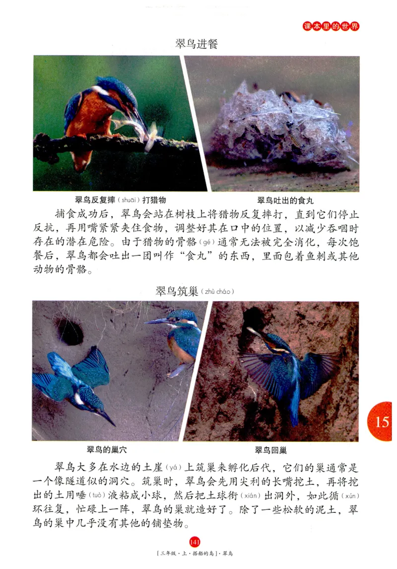 《年级阅读》语文3年级上册（RJ）_三年级上下册资料_小学三年级学习资料-25年更新版_3-01、小学三年级语文上册_3-1-2、练习题、作业、试题、试卷_电子册类