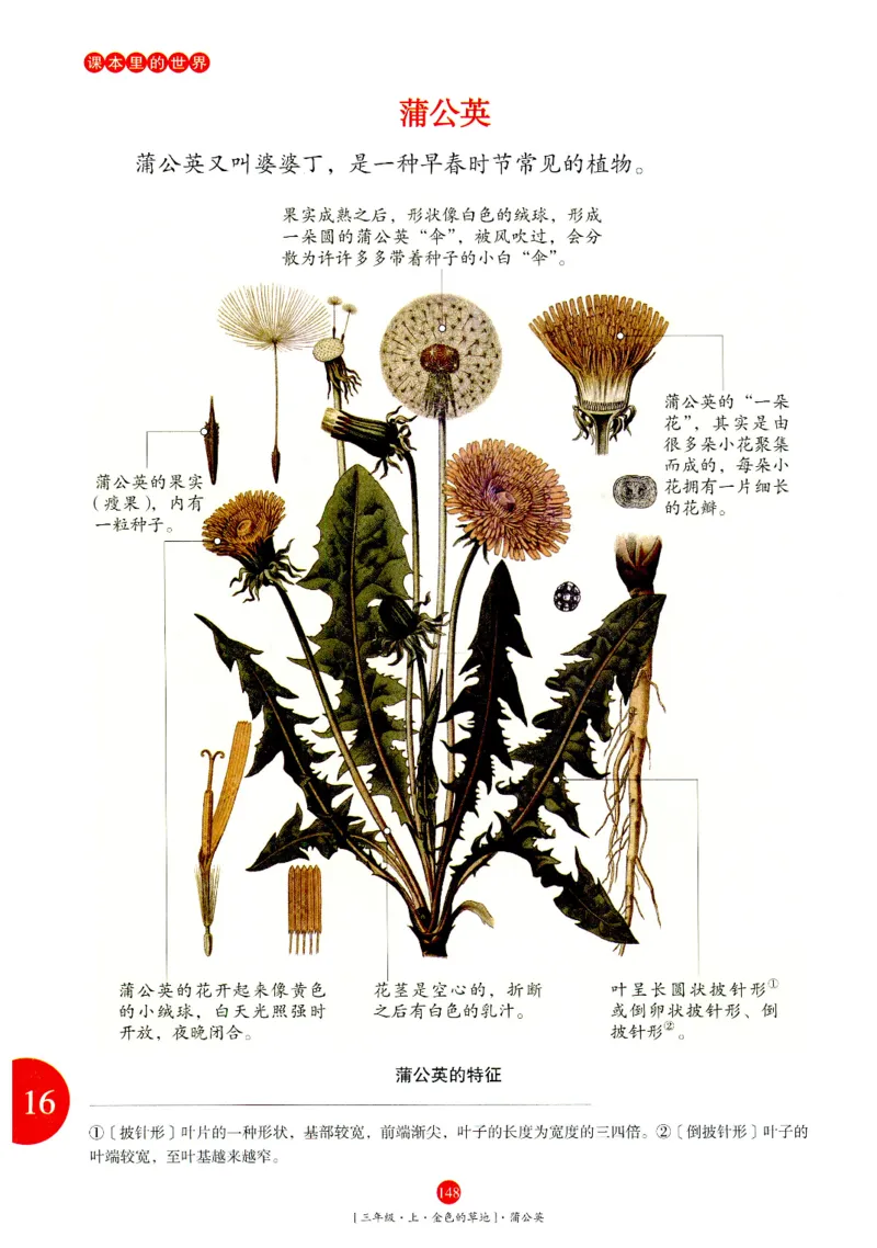 《年级阅读》语文3年级上册（RJ）_三年级上下册资料_小学三年级学习资料-25年更新版_3-01、小学三年级语文上册_3-1-2、练习题、作业、试题、试卷_电子册类