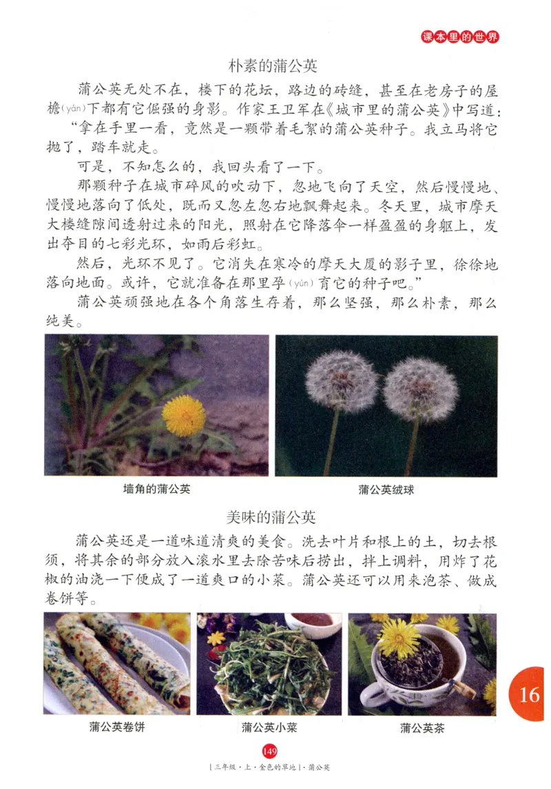 《年级阅读》语文3年级上册（RJ）_三年级上下册资料_小学三年级学习资料-25年更新版_3-01、小学三年级语文上册_3-1-2、练习题、作业、试题、试卷_电子册类