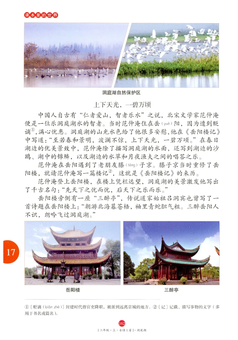 《年级阅读》语文3年级上册（RJ）_三年级上下册资料_小学三年级学习资料-25年更新版_3-01、小学三年级语文上册_3-1-2、练习题、作业、试题、试卷_电子册类