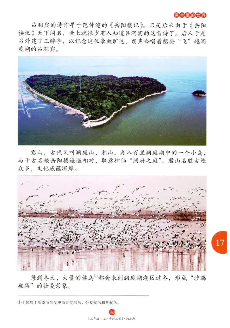 《年级阅读》语文3年级上册（RJ）_三年级上下册资料_小学三年级学习资料-25年更新版_3-01、小学三年级语文上册_3-1-2、练习题、作业、试题、试卷_电子册类