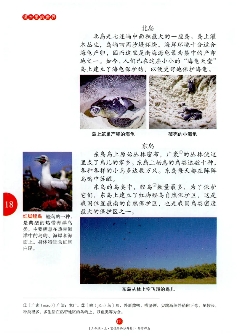 《年级阅读》语文3年级上册（RJ）_三年级上下册资料_小学三年级学习资料-25年更新版_3-01、小学三年级语文上册_3-1-2、练习题、作业、试题、试卷_电子册类