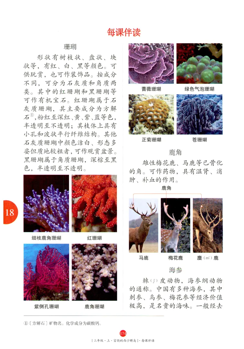 《年级阅读》语文3年级上册（RJ）_三年级上下册资料_小学三年级学习资料-25年更新版_3-01、小学三年级语文上册_3-1-2、练习题、作业、试题、试卷_电子册类