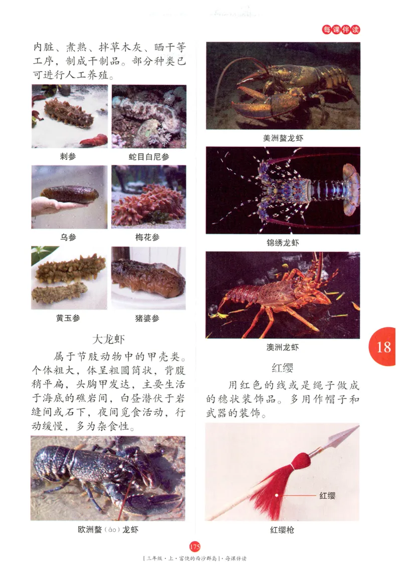 《年级阅读》语文3年级上册（RJ）_三年级上下册资料_小学三年级学习资料-25年更新版_3-01、小学三年级语文上册_3-1-2、练习题、作业、试题、试卷_电子册类