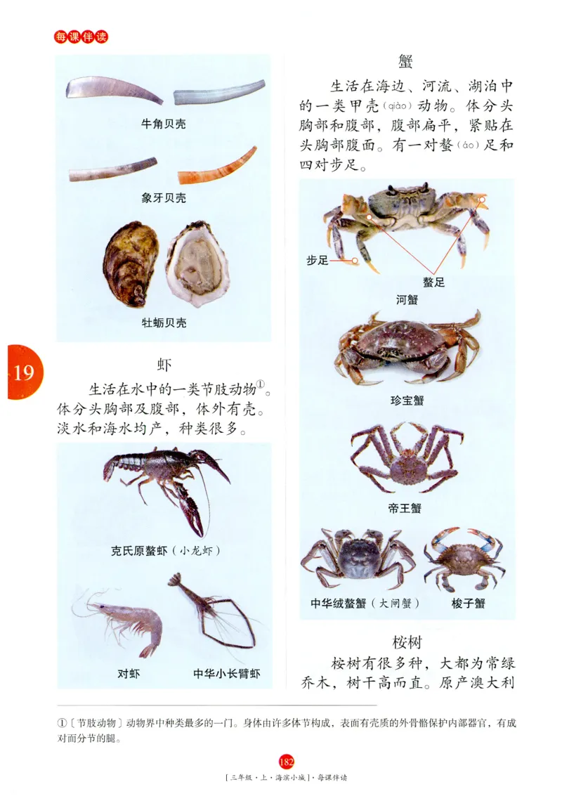 《年级阅读》语文3年级上册（RJ）_三年级上下册资料_小学三年级学习资料-25年更新版_3-01、小学三年级语文上册_3-1-2、练习题、作业、试题、试卷_电子册类