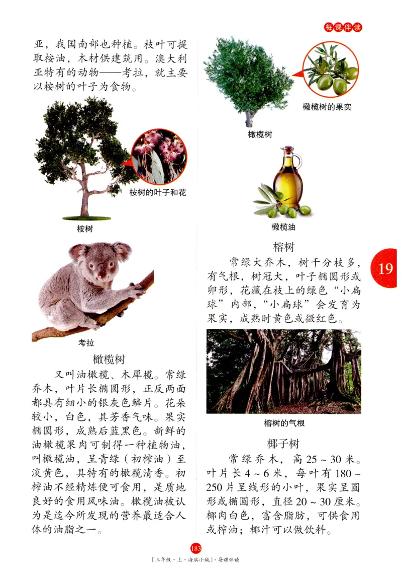 《年级阅读》语文3年级上册（RJ）_三年级上下册资料_小学三年级学习资料-25年更新版_3-01、小学三年级语文上册_3-1-2、练习题、作业、试题、试卷_电子册类