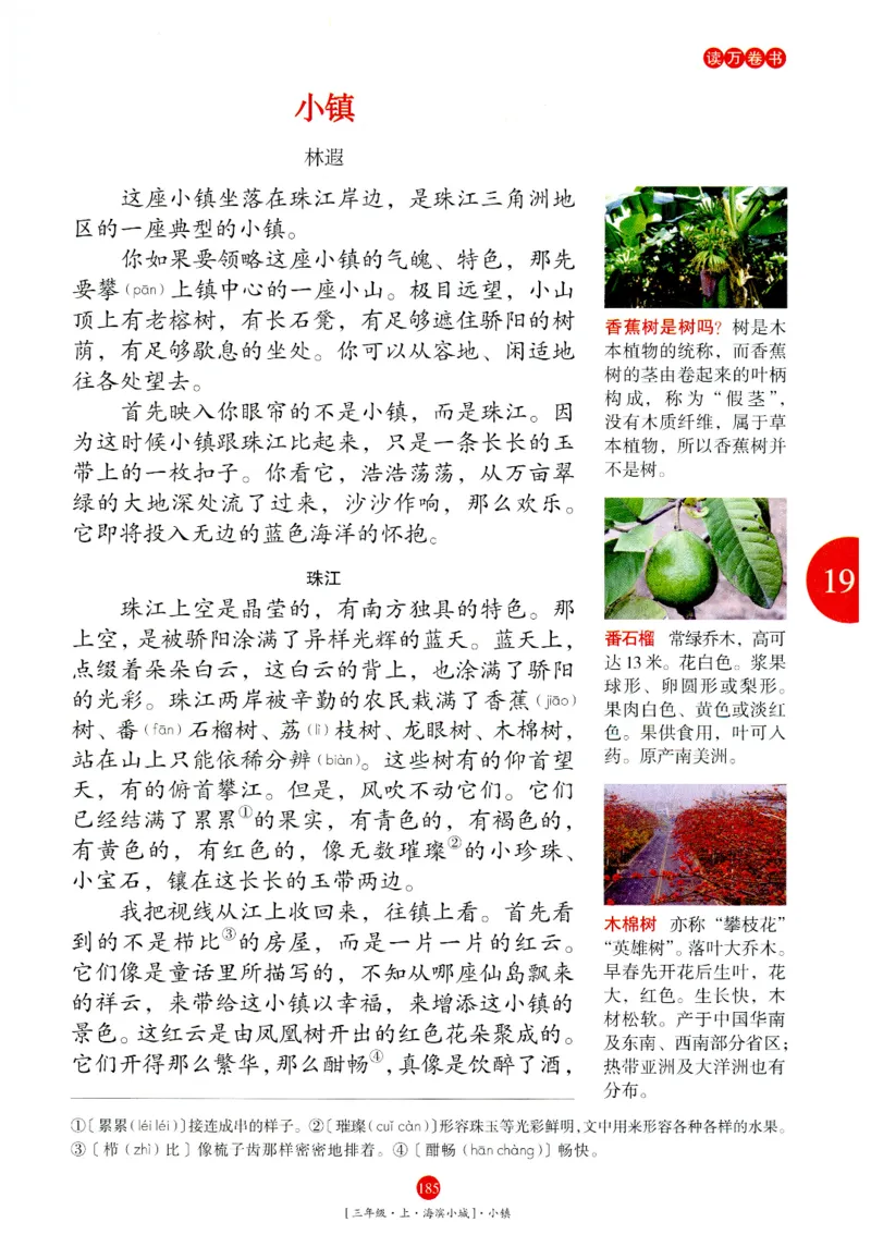 《年级阅读》语文3年级上册（RJ）_三年级上下册资料_小学三年级学习资料-25年更新版_3-01、小学三年级语文上册_3-1-2、练习题、作业、试题、试卷_电子册类