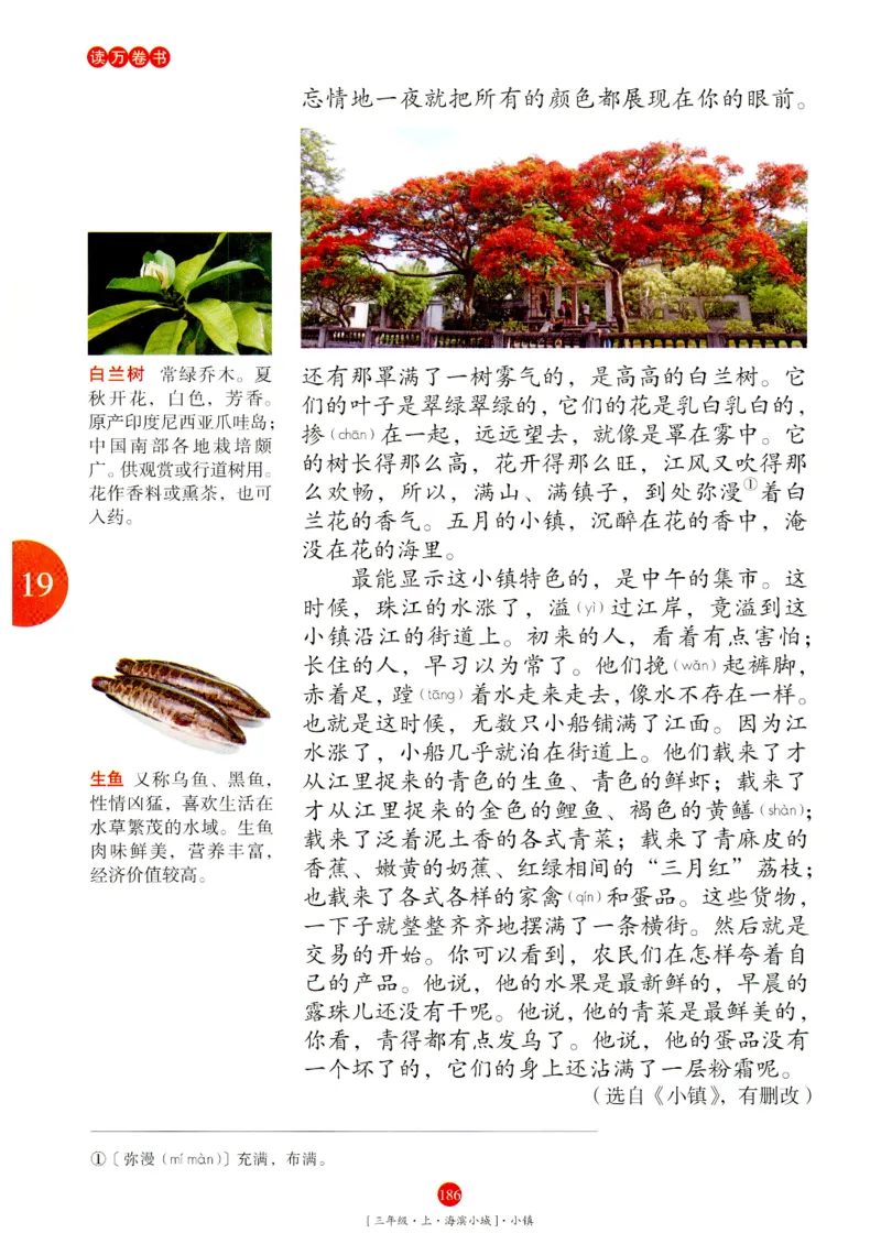 《年级阅读》语文3年级上册（RJ）_三年级上下册资料_小学三年级学习资料-25年更新版_3-01、小学三年级语文上册_3-1-2、练习题、作业、试题、试卷_电子册类